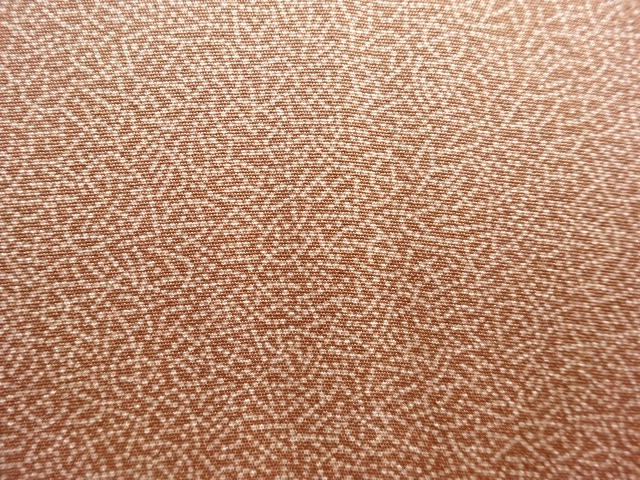  家内安全模様一つ紋江戸小紋着物